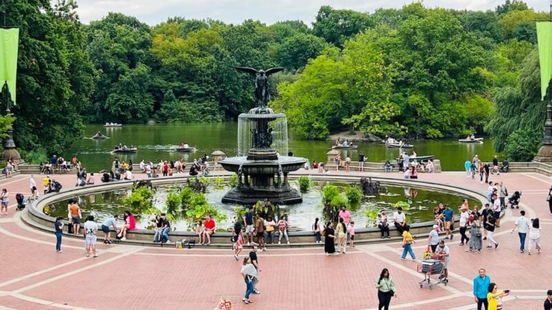 NYC: Guided Central Park Private Pedicab Tour - Why This Tour Offers Great Value