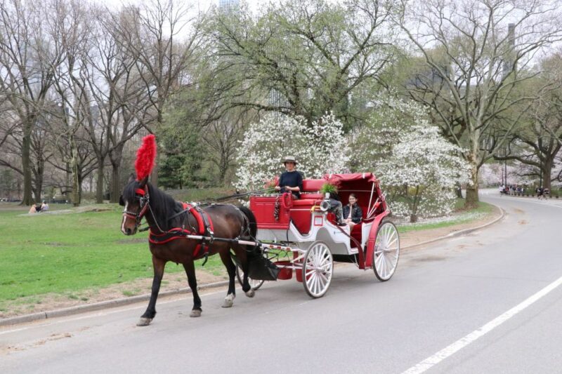 NYC: Guided Standard Central Park Carriage Ride (4 Adults) - A Detailed Look at the Central Park Carriage Ride Experience