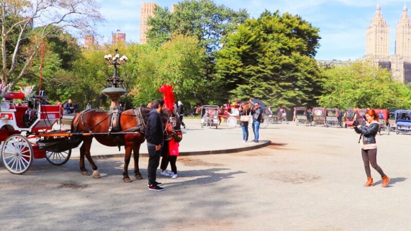 NYC: Guided Standard Central Park Carriage Ride (4 Adults) - Final Thoughts: Is It Worth It?