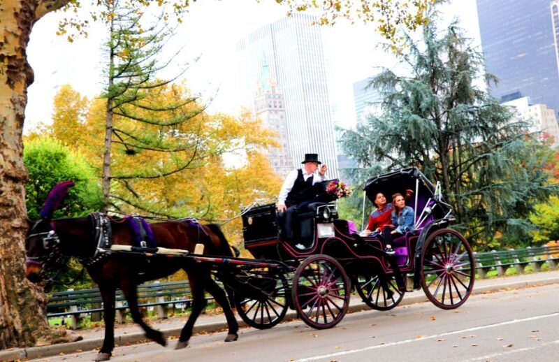 NYC: Guided Standard Central Park Carriage Ride (4 Adults) - FAQ