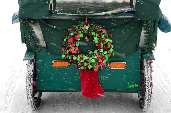 NYC Holiday Lights and Magic Pedicab Tour - What’s Included and What to Consider