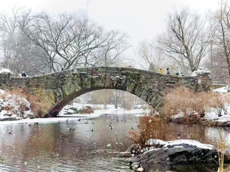 NYC: Home Alone 2 and Elf Tour in Central Park - The Itinerary: What You’ll Actually See and Do