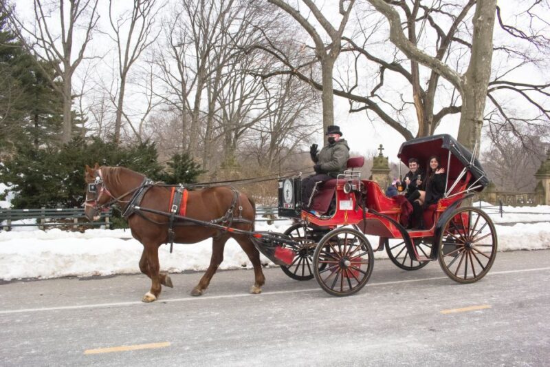 NYC Horse Carriage Ride in Central Park (65 min) - Key Points
