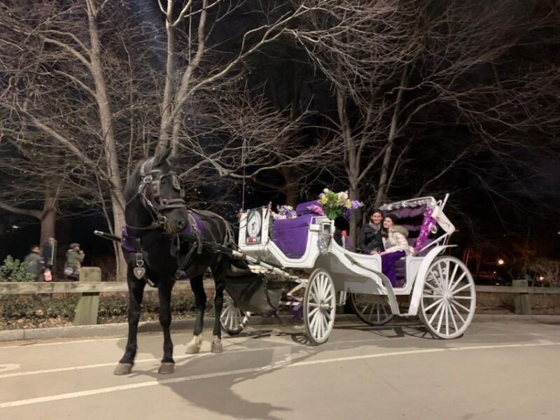 NYC Horse Carriage Ride in Central Park (65 min) - Who Will Love This Tour?