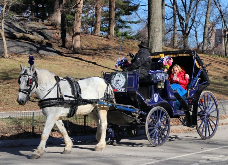 NYC Horse Carriage Ride in Central Park (65 min) - Final Thoughts