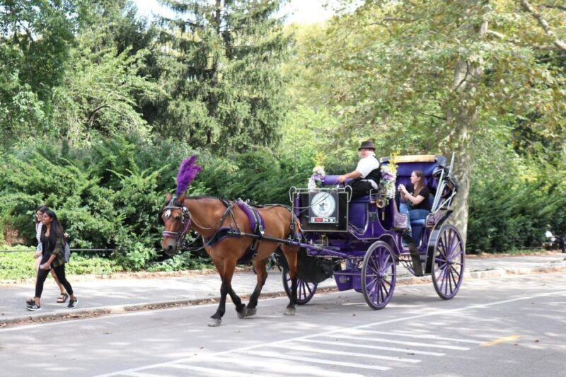 NYC Horse Carriage Ride in Central Park (65 min) - FAQ