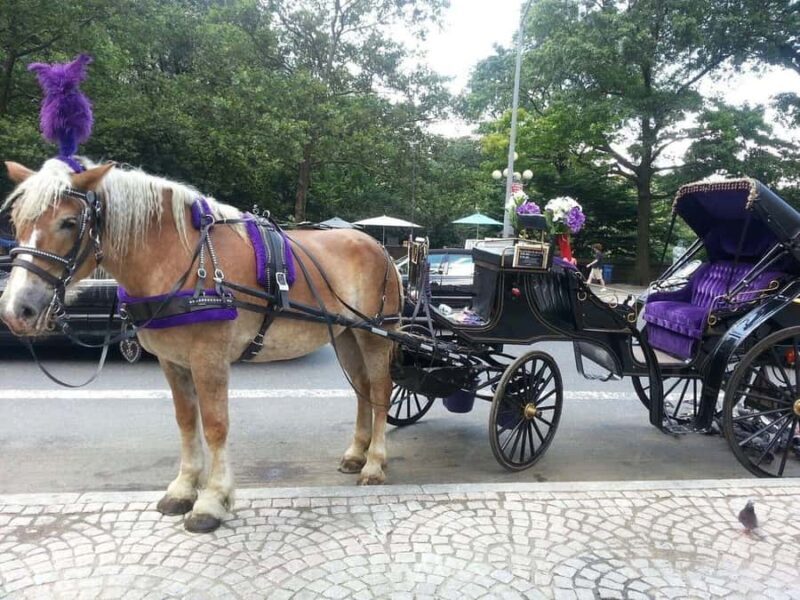 NYC: Long Central Park Horse Carriage Ride with Photo Stop - Key Points