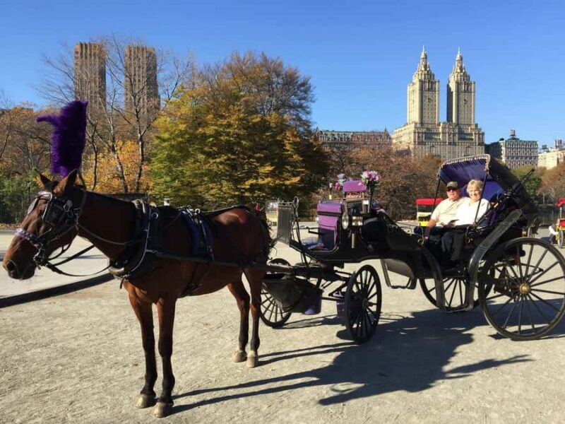 NYC: Long Central Park Horse Carriage Ride with Photo Stop - What to Expect from Your Central Park Horse Carriage Ride