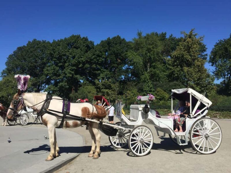 NYC: Long Central Park Horse Carriage Ride with Photo Stop - Who Would Love This Experience?