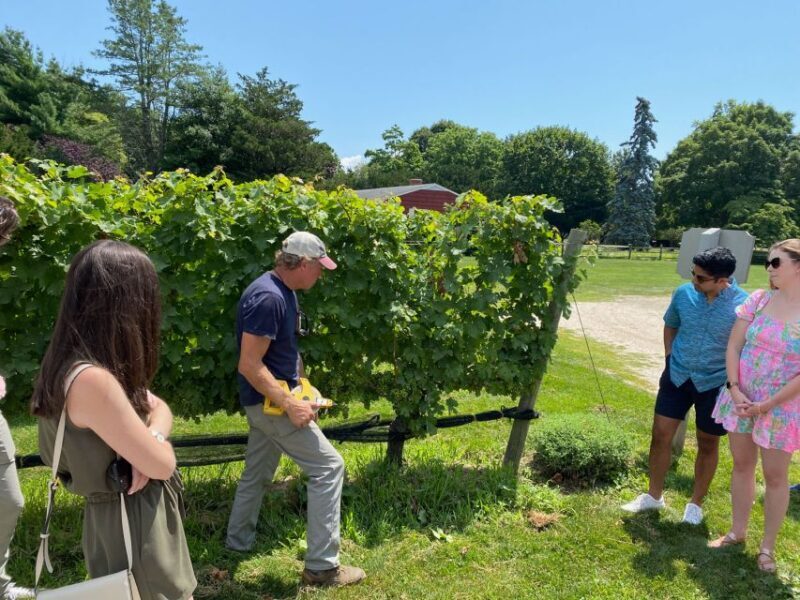 NYC: Long Island Sommelier-Guided Wine Tasting Tour - An In-Depth Look at the Long Island Sommelier-Guided Wine Tasting Tour