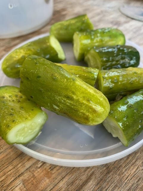 NYC: Lower East Side Walking and Food Tasting Tour - Final Thoughts