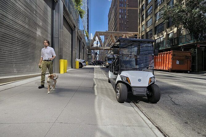 NYC: Midtown, Chelsea &West Village Guided City Tour by E-Cart - Who Should Take This Tour?