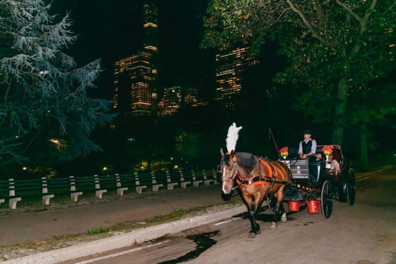 NYC MOONLIGHT HORSE CARRIAGE RIDE through Central Park - Key Points