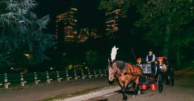 NYC MOONLIGHT HORSE CARRIAGE RIDE through Central Park - The Experience in Detail