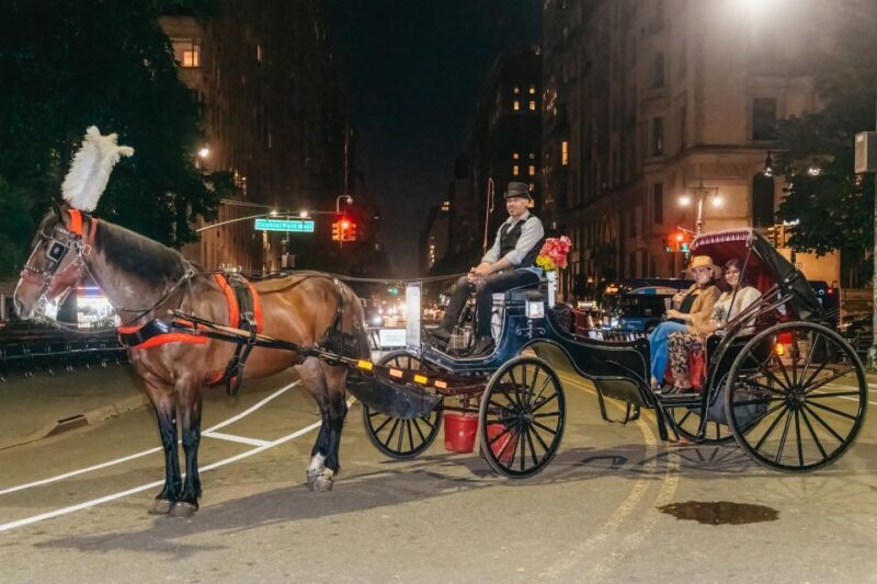 NYC MOONLIGHT HORSE CARRIAGE RIDE through Central Park - Who Is This Tour Best For?