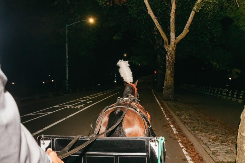 NYC MOONLIGHT HORSE CARRIAGE RIDE through Central Park - Final Thoughts