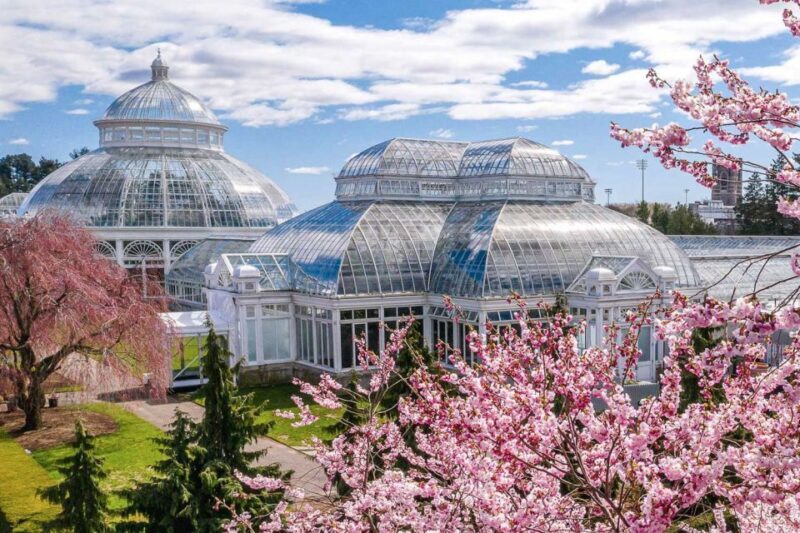 NYC: New York Botanical Garden Pass with Orchid Show Option - What Reviewers Say