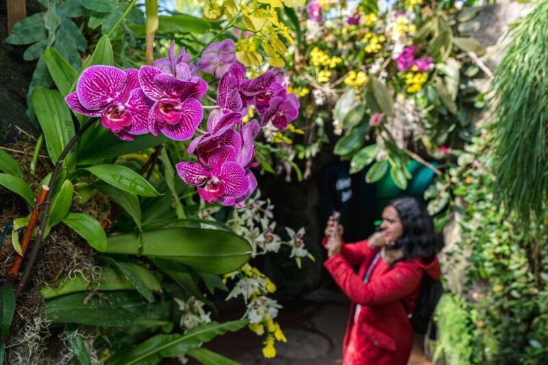 NYC: New York Botanical Garden Pass with Orchid Show Option - Practical Tips for Visitors