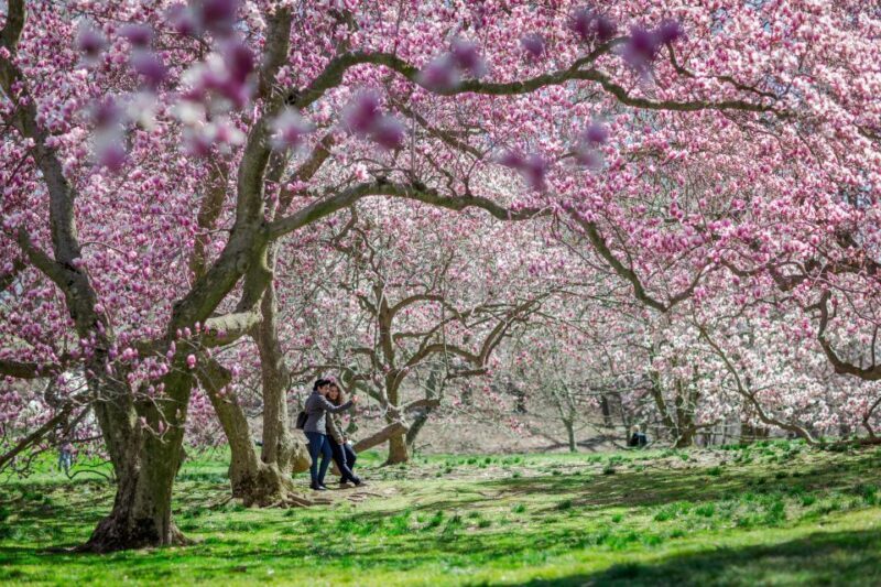 NYC: New York Botanical Garden Pass with Orchid Show Option - FAQ