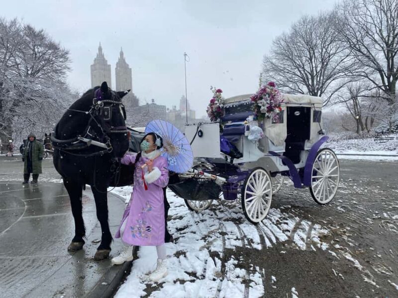 NYC: Private Central Park Horse & Carriage Ride - Why This Tour Is Worth It
