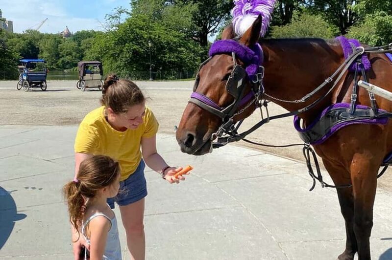 NYC: Private Central Park Horse & Carriage Ride - The Sum Up