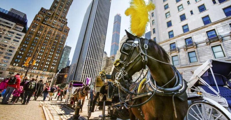NYC Private Central Park Horse Carriage Ride with Guide - Pricing & Value