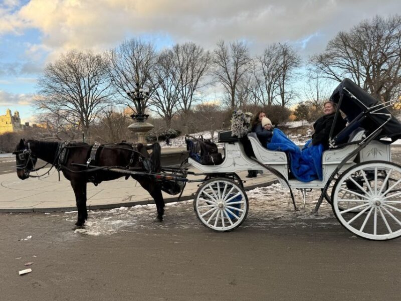 NYC Private Central Park Horse Carriage Ride with Guide - Who Will Love This Experience?