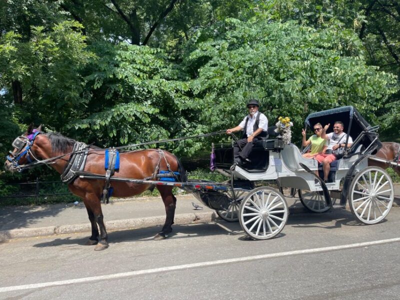 NYC Private Central Park Horse Carriage Ride with Guide - FAQ