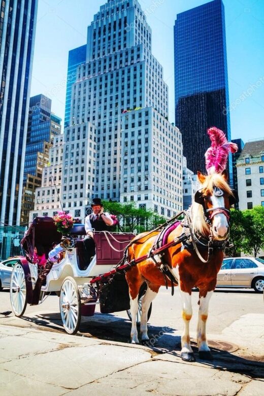 NYC Private Central Park Horse Carriage Ride with Guide - Key Points