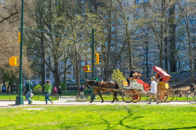 NYC Private Central Park Horse Carriage Ride with Guide - Exploring Central Park from a Different Perspective