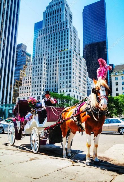 NYC Private Central Park Horse Carriage Ride with Guide - FAQs