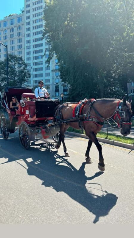 NYC: Private Central Park Horse-Drawn Carriage Tour - Final Reflection