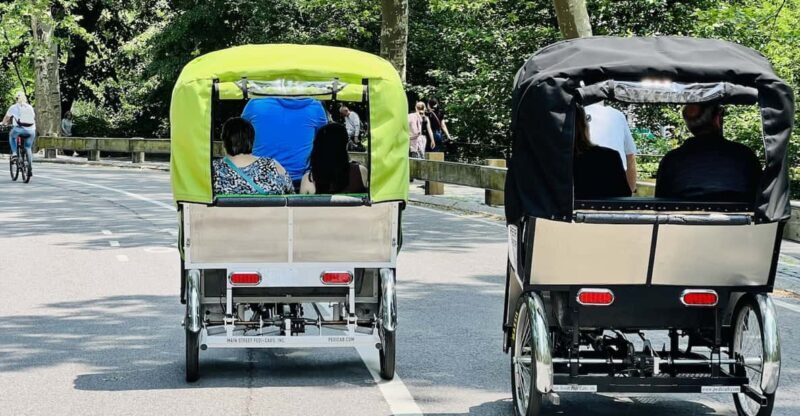 NYC: Private Central Park Pedicab Tours / PICKUP FROM MUSEUM - A Deep Dive Into the Experience
