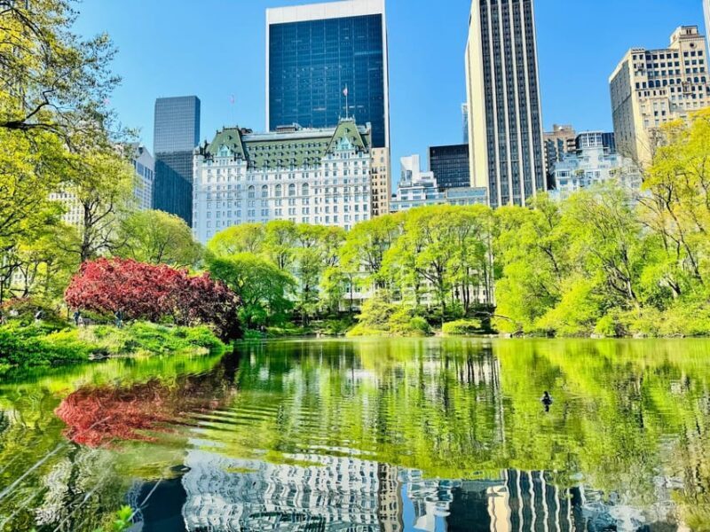 NYC: Private Central Park Pedicab Tours / PICKUP FROM MUSEUM - The Pedicab Experience: What to Expect