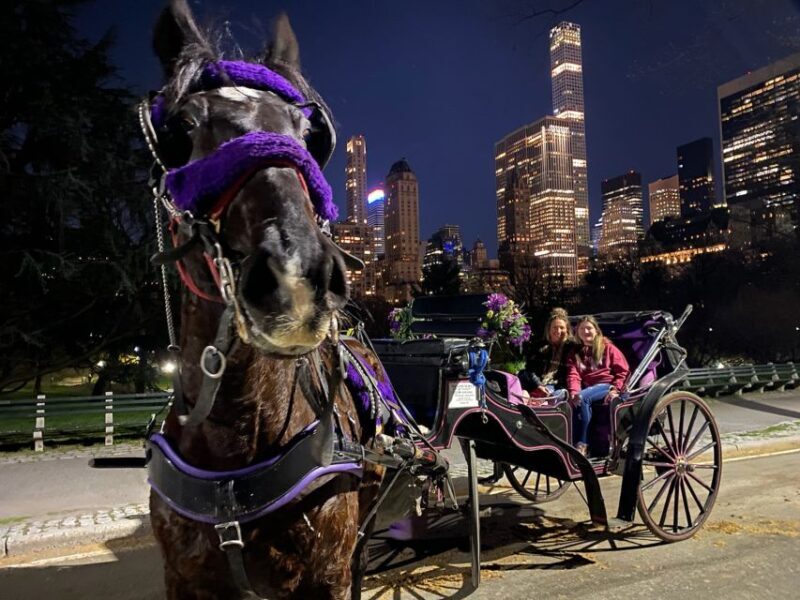 NYC: Private Christmas Lights Horse Carriage Ride - Key Points