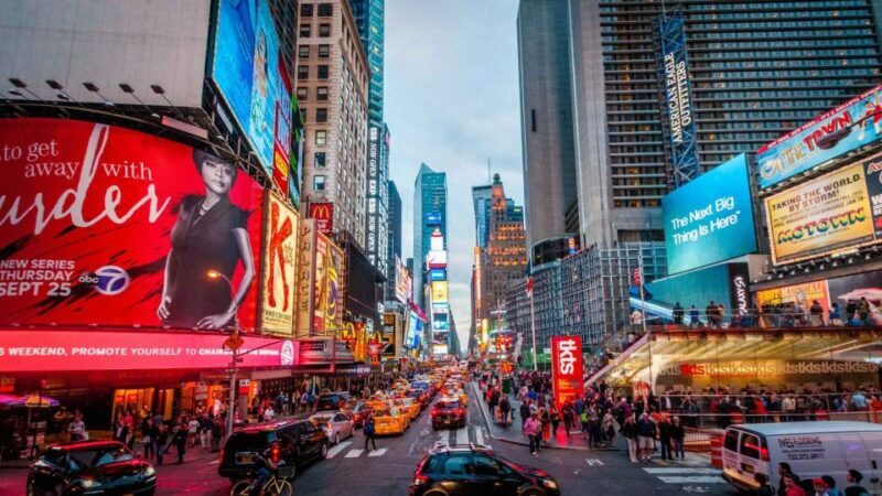 NYC: Private Christmas Lights Horse Carriage Ride - An In-Depth Look at the Experience