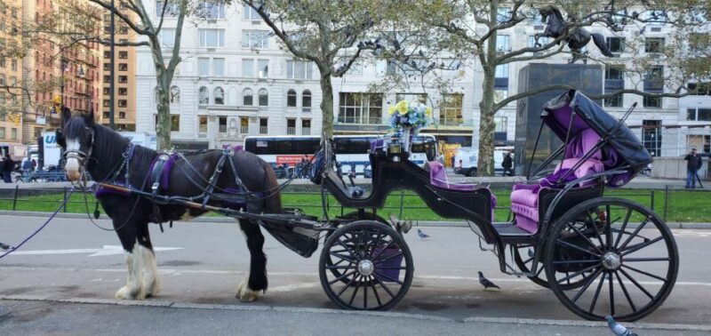 NYC: Private Christmas Lights Horse Carriage Ride - Who Is This Tour Best For?