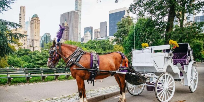 NYC: Private Christmas Lights Horse Carriage Ride - A Detailed Look at This Horse Carriage Ride