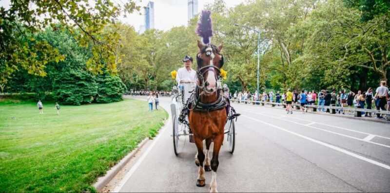 NYC: Private Christmas Lights Horse Carriage Ride - Who Would Enjoy This Tour?