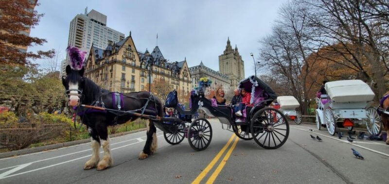 NYC: Private Christmas Lights Horse Carriage Ride - The Sum Up