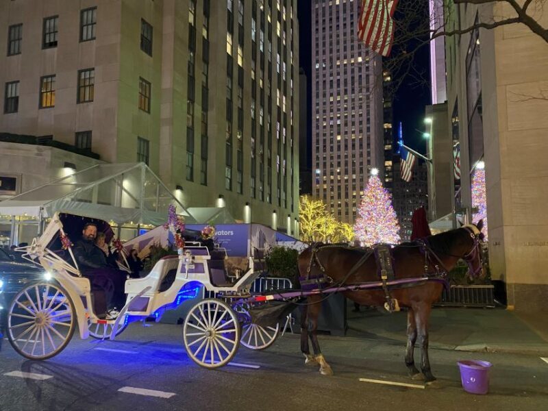 NYC: Private Christmas Lights Horse Carriage Ride - The Experience Starts at a Central Meeting Point
