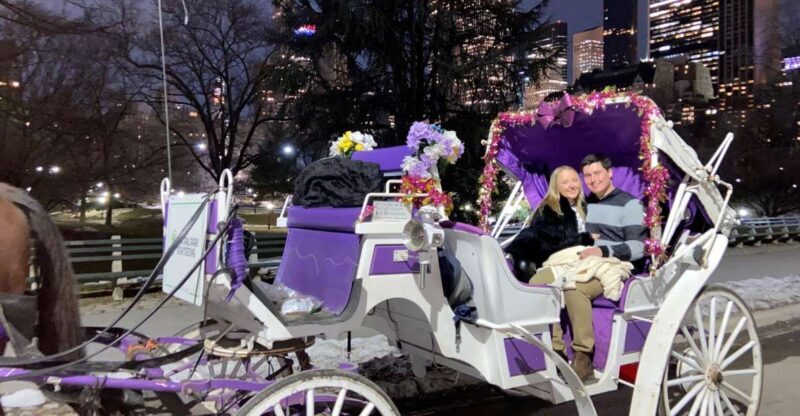 NYC: Private Christmas Lights Horse Carriage Ride - The Sights — More Than Just Lights