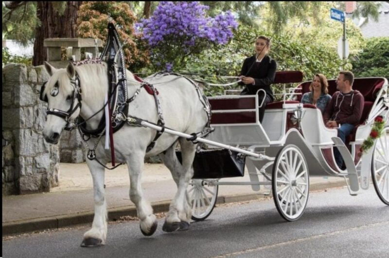 NYC: Private Christmas Lights Horse Carriage Ride - Review Snapshots & What Travelers Say