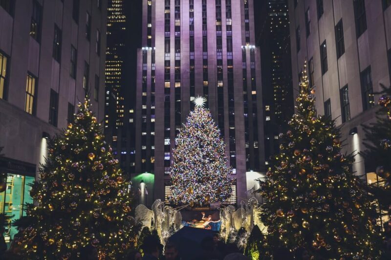 NYC: Private Dyker Heights and NYC Holiday Lights Tour - A Deep Dive into the Tour Experience