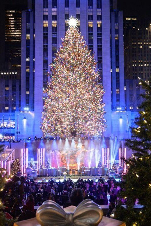 NYC: Private Dyker Heights and NYC Holiday Lights Tour - Who Is This Tour Best For?