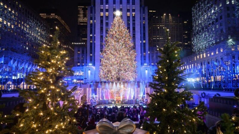 NYC: Private Dyker Heights and NYC Holiday Lights Tour - FAQs