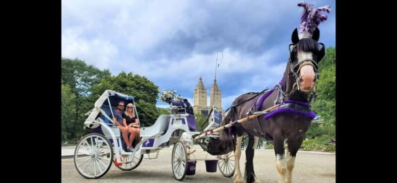 NYC: Romantic Central Park Carriage Experience - Key Points