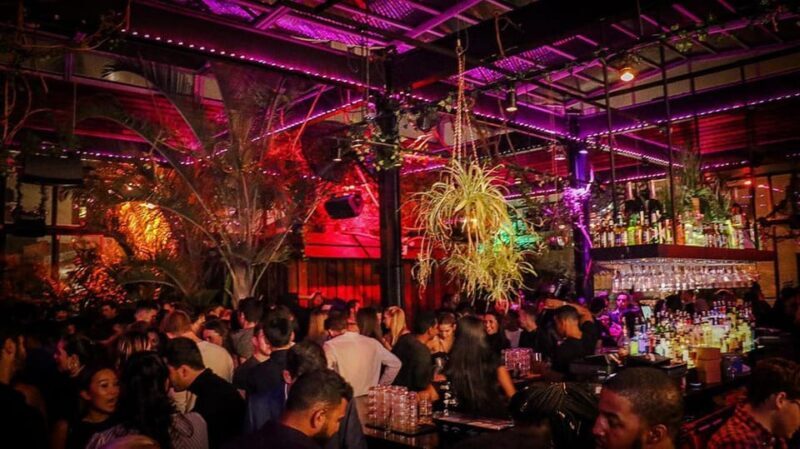 NYC West Village Pub Crawl Experience - Entertainment and Activities