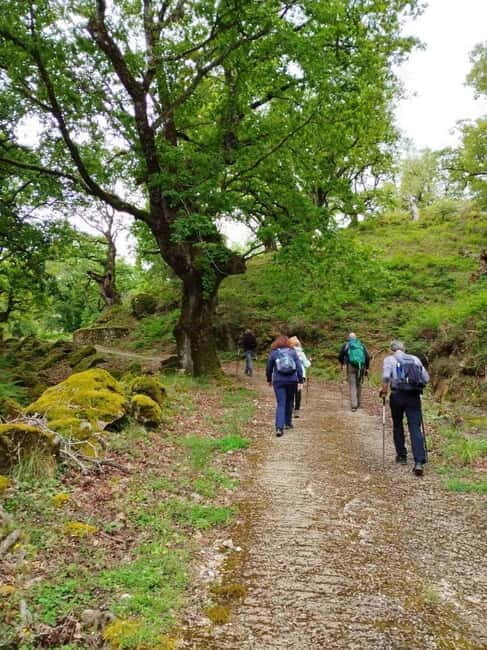 Nydri: Discover Local Culture, History & Beauty Guided Hike - Visiting the Historic Monastery of Agios Georgios
