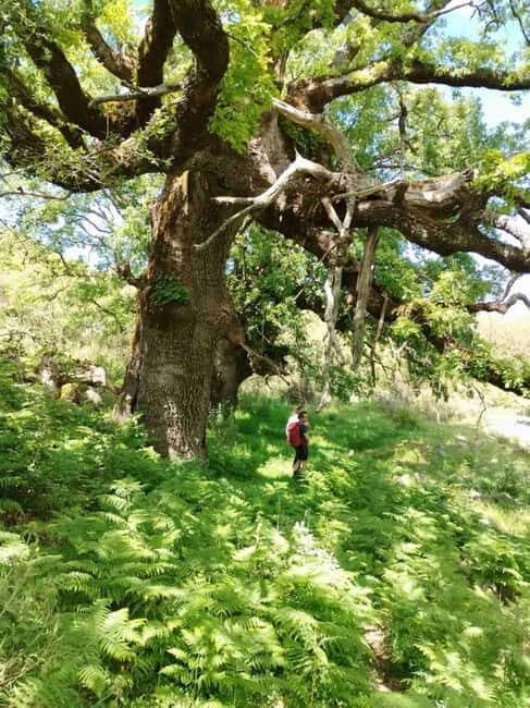 Nydri: Discover Local Culture, History & Beauty Guided Hike - Practical Details and Experience Value